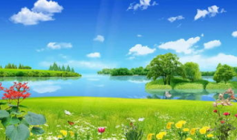 风景视频下载,风景视频中的视觉盛宴