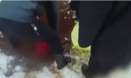 女孩尿裤子视频,女孩不慎尿裤子，温馨画面引网友热议